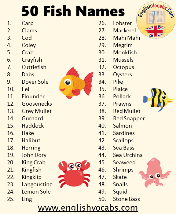 50 Fish Names List