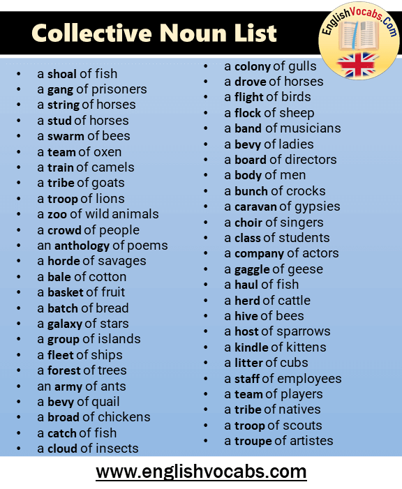 Collective Nouns List Starting With T English Vocabs