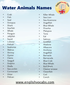 Water Animals Name List From A To Z - English Vocabs