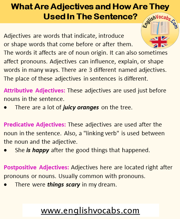 What Are Adjectives and How Are They Used In The Sentence?