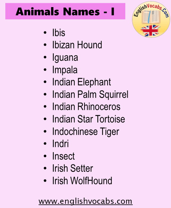 Animals Name Starting With I