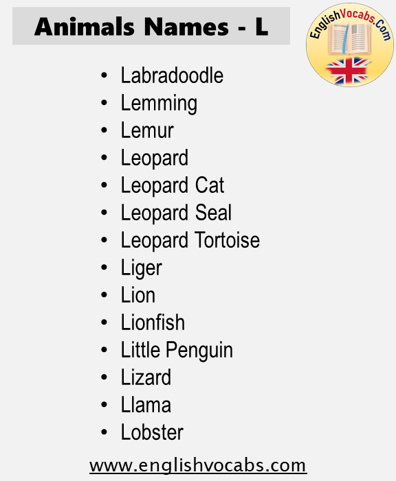 Animals Name Starting With L