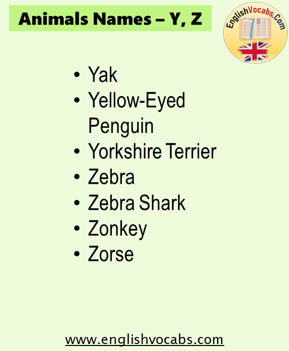 Animals Name Starting With Y, Z