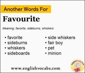 Another Word For Favourite, What Is Another Word Favourite - English Vocabs