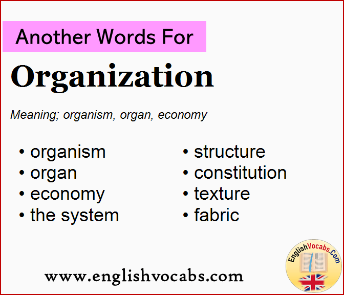 Another word for Organization, What is another word Organization