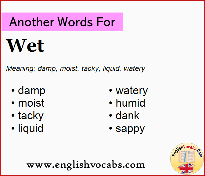 Another word for Wet, What is another word Wet