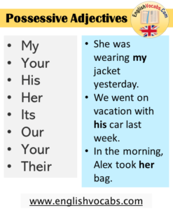 Possessive Adjectives List Archives - English Vocabs