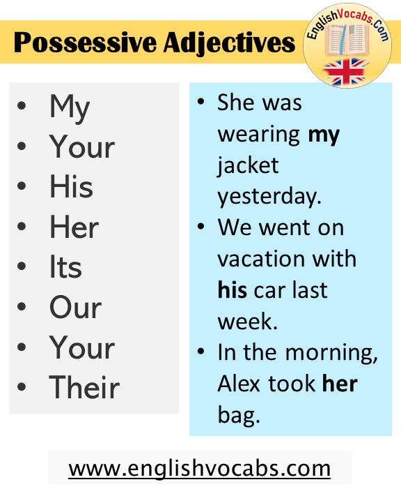 Possessive Adjectives List and Examples Sentences