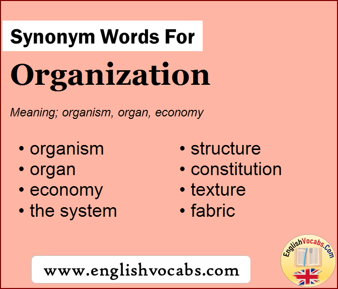 Synonym For Organization What Is Synonym Word Organization English 