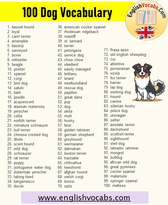 100 Dog Words, Dog Vocabulary List
