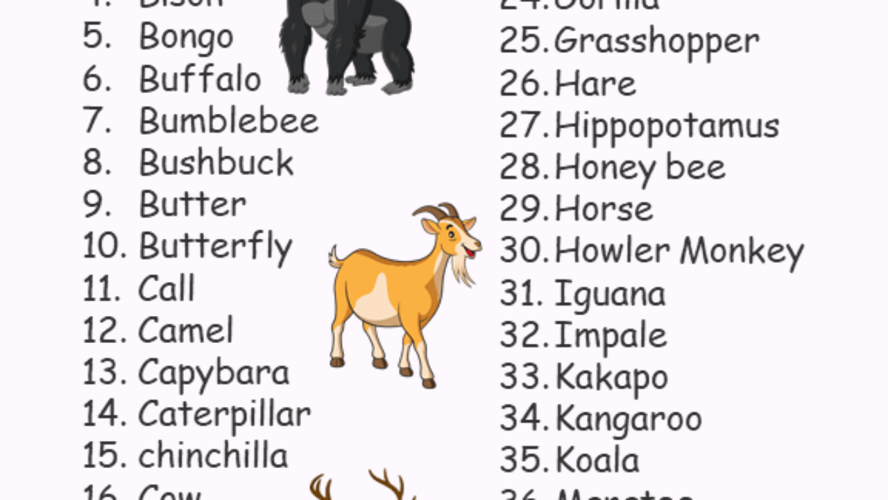 40 Herbivorous Animals Name List English Vocabs
