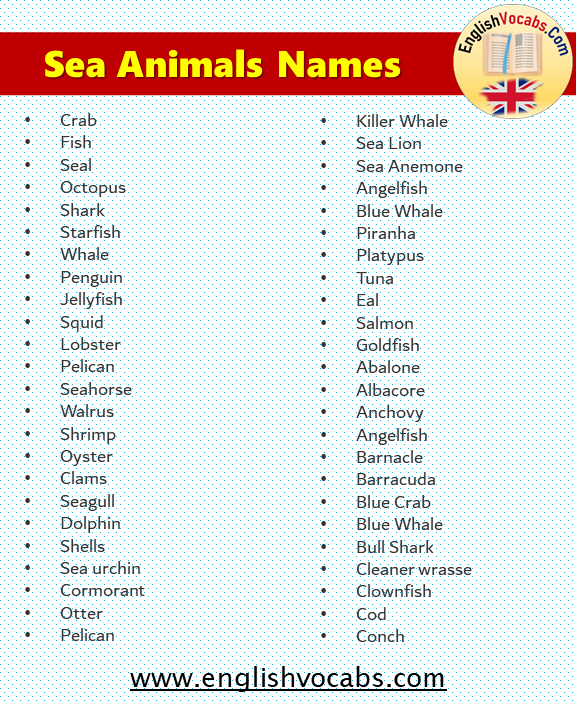What are Sea Animals? 153 Sea Animals Names List