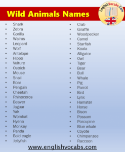 What are Wild Animals? Wild Animals Names List in English - English Vocabs