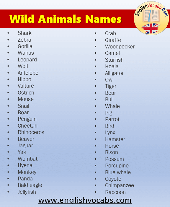 What are Wild Animals? Wild Animals Names List in English