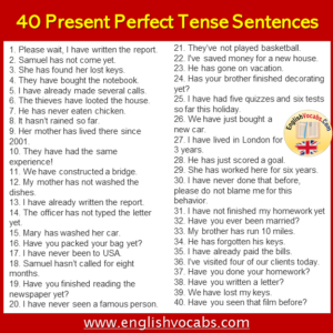 40 Present Perfect Tense Example Sentences - English Vocabs