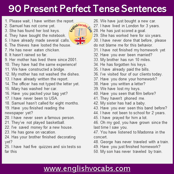 90 Present Perfect Tense Example Sentences English Vocabs