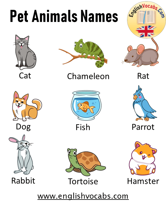  100 Pet Animals Names List Archives English Vocabs