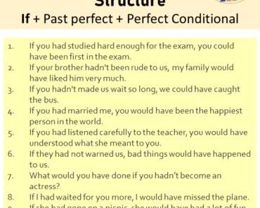 10 Third Conditional Sentences Examples, If Clauses Type 3