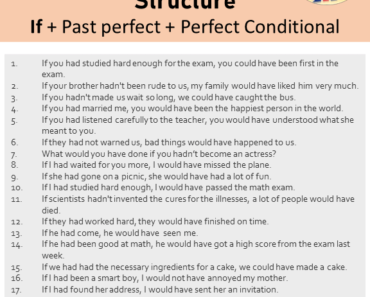20 Third Conditional Sentences Examples, If Clauses Type 3
