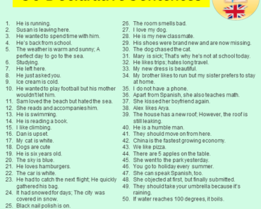 50 Declarative Sentences Examples